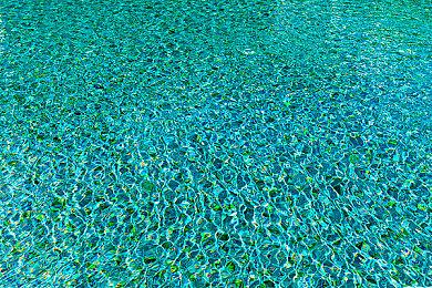 “劳模”回归 《怪物猎人：荒野》雌火龙确认登场